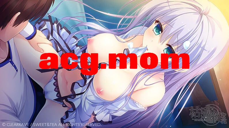 68ad9e16-e893-466e-86d9-122eb4cf71b5.png