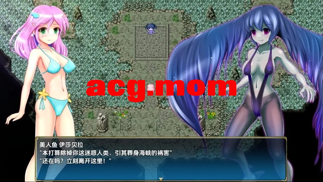 3.jpeg