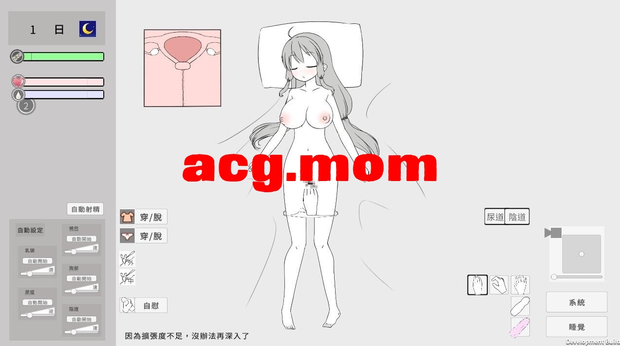 3.jpeg