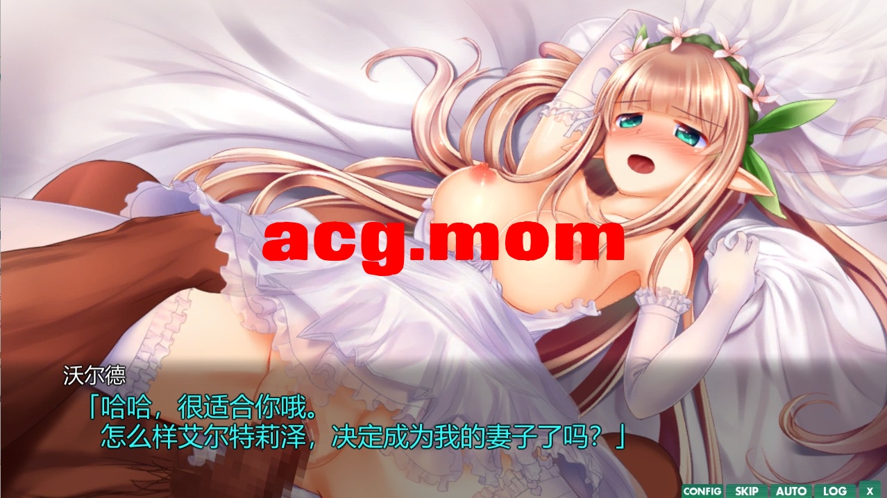 3.jpeg