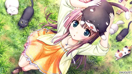 c40a23f1-8e43-4d17-9926-bda0a974781f.png