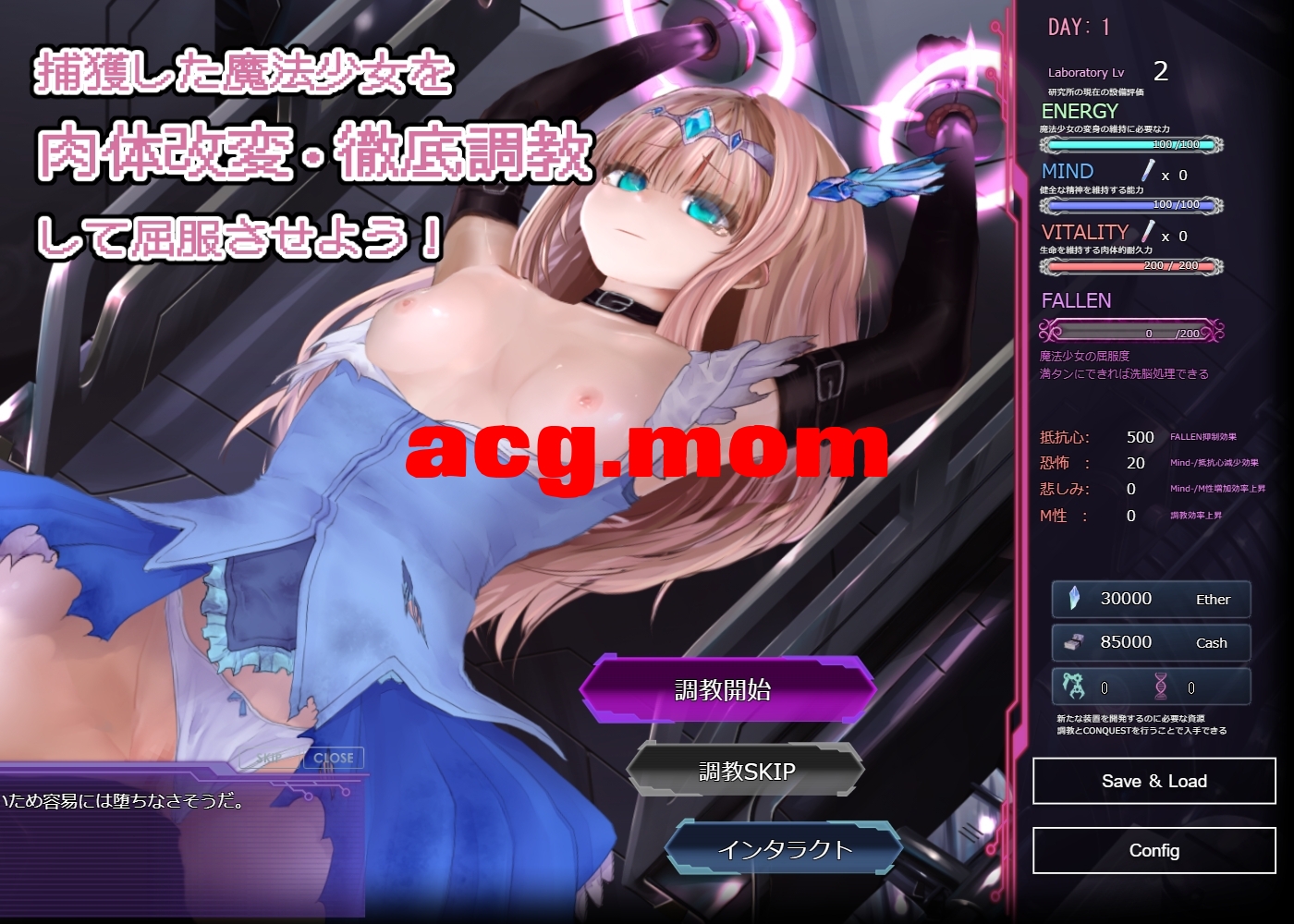 3.jpeg