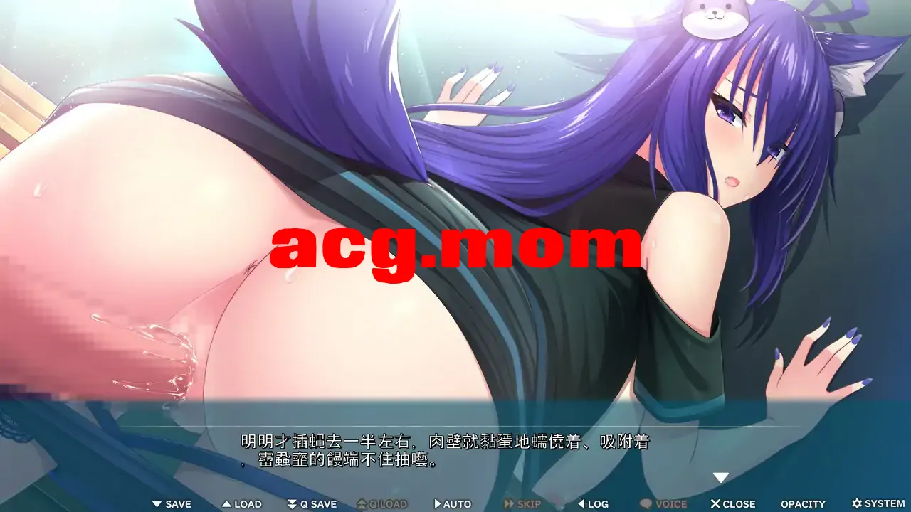 3.jpeg