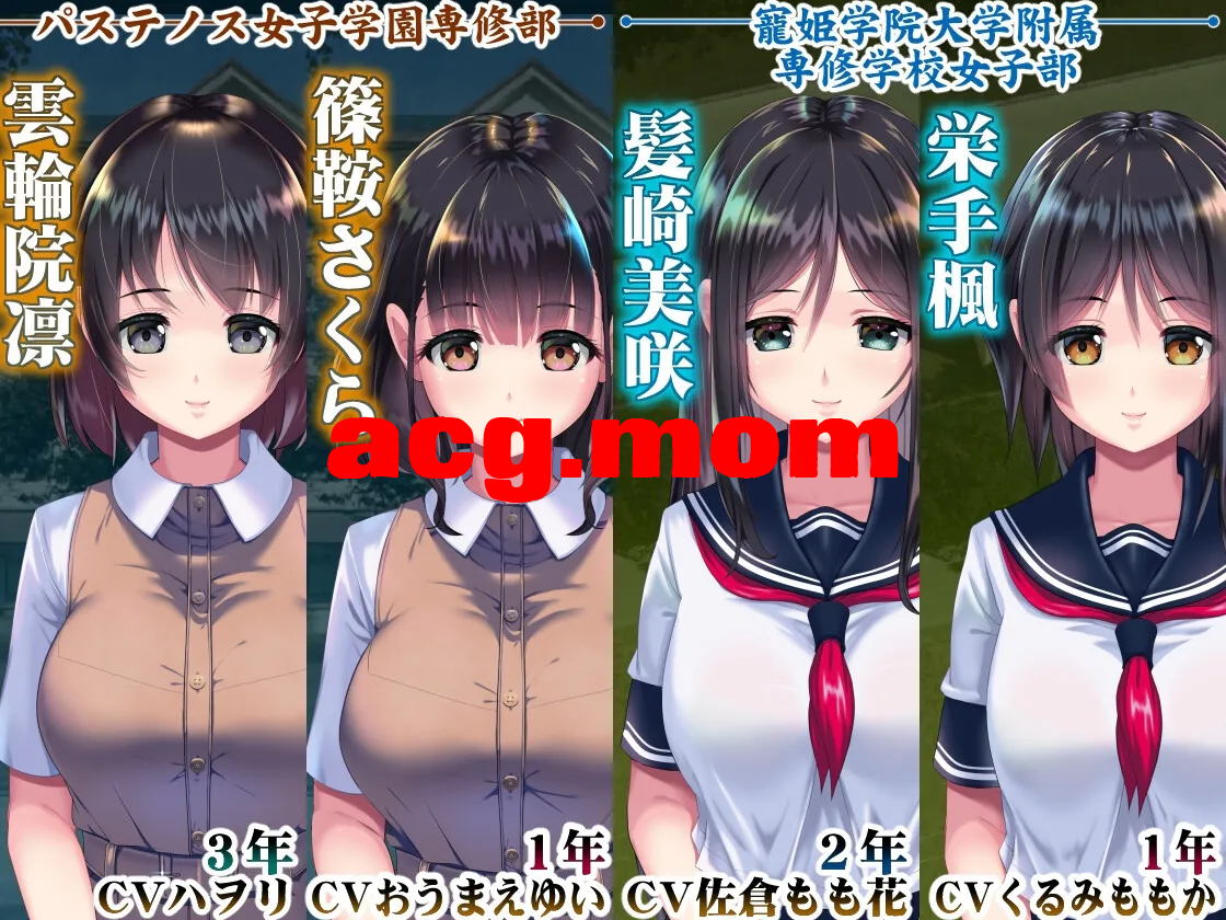 8977b2d5-5dd7-4c6b-a301-23ae5c7b43e7.png